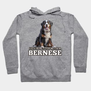 Bernese mountain dog Hoodie